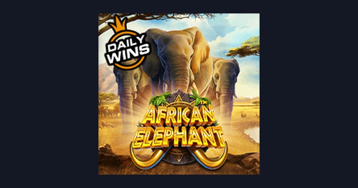 Bocoran RTP Hari Ini dan Sensasi Bermain African Elephant dari Pragmatic Play